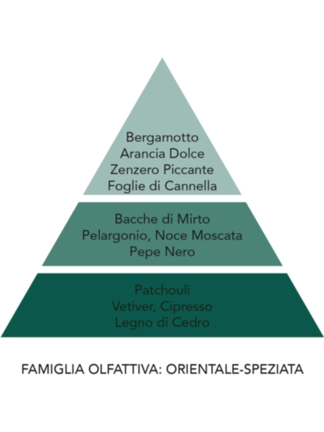 Diffusore Auto Fortunato CAR.FOR