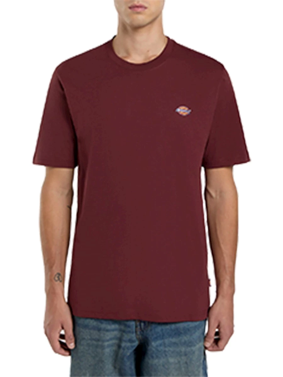 T-Shirt Dickies DK0A4XDBL161  MAPLETON SS TEE ANDORRA