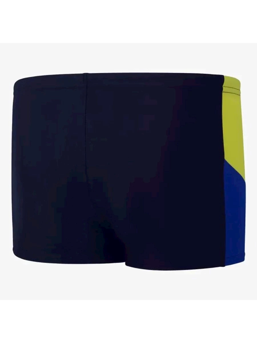 SPEEDO BOYS DIVE AQUASHORT PISCINA