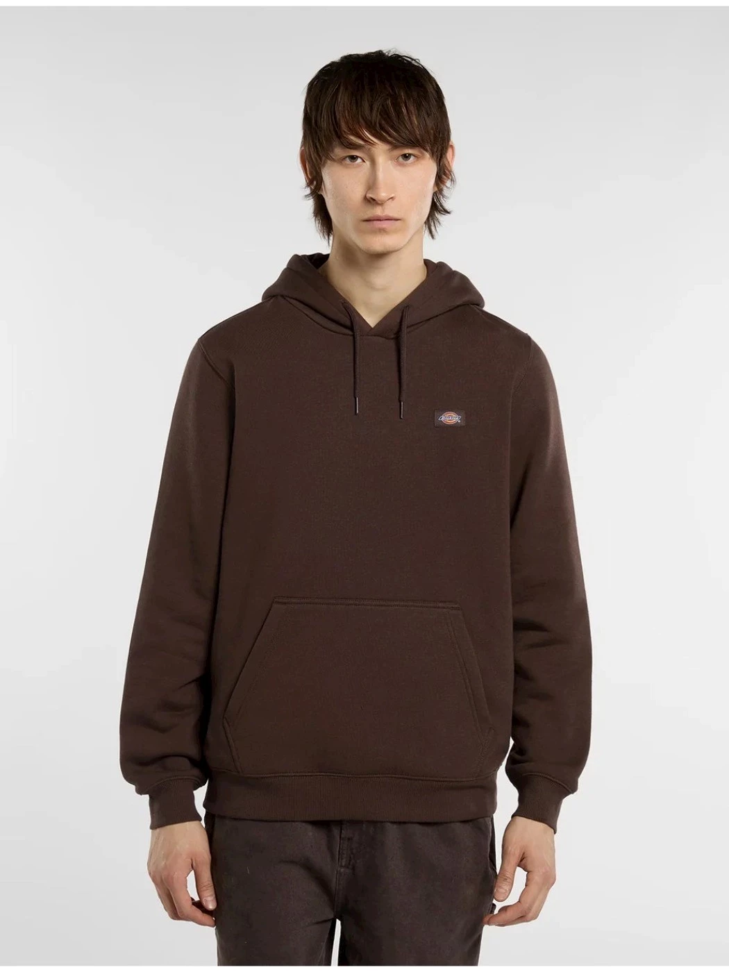 Felpa cappuccio DICKIES
