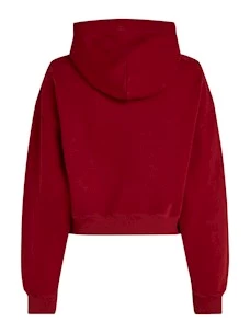 VARSITY 1 HOODIE TOMMY JEANS