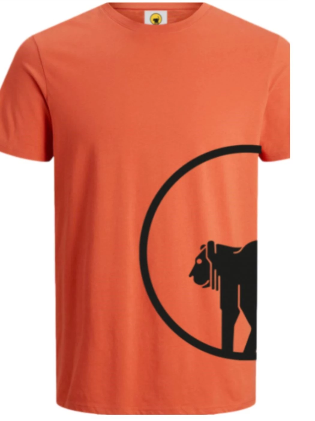 T-shirt Ciesse Piumini Rupert Flash 205CPMT01430