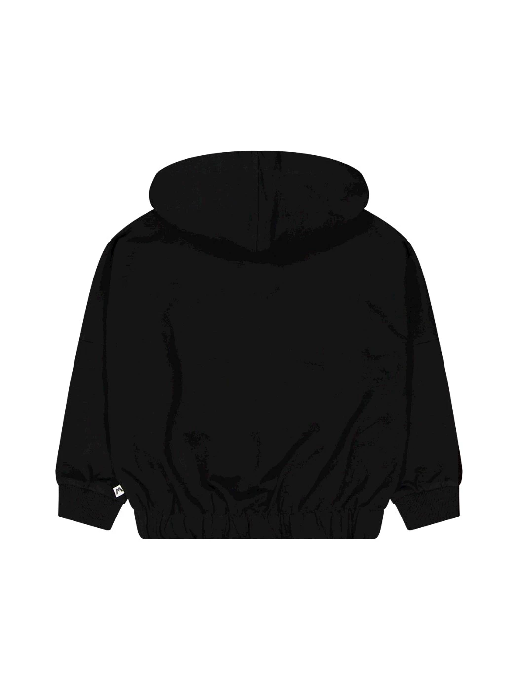 Felpa Zip Con Cappuccio Ragazza 75D5285