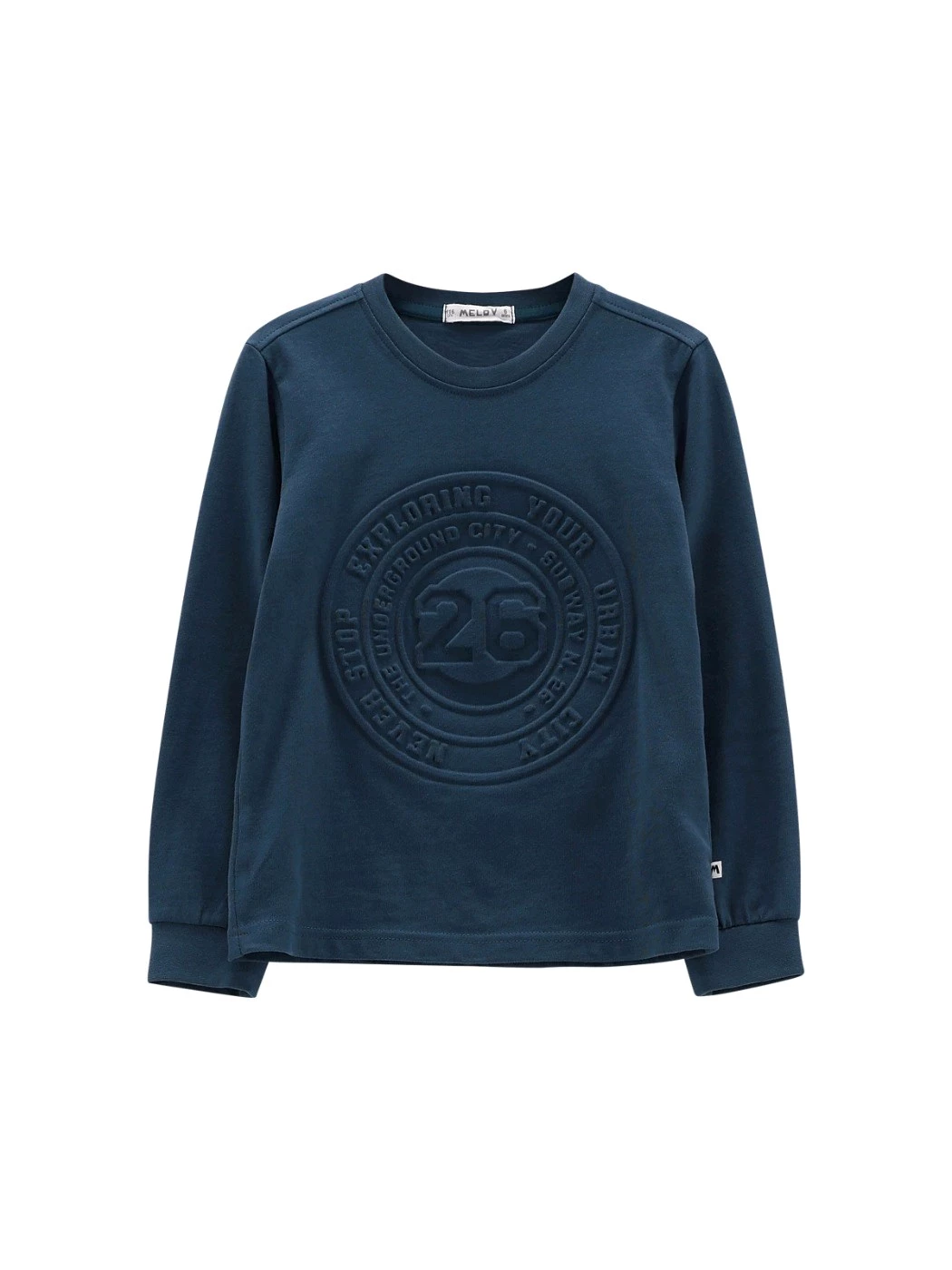 T-Shirt Manica Lunga Jersone Lavato Ragazzo 65C0324