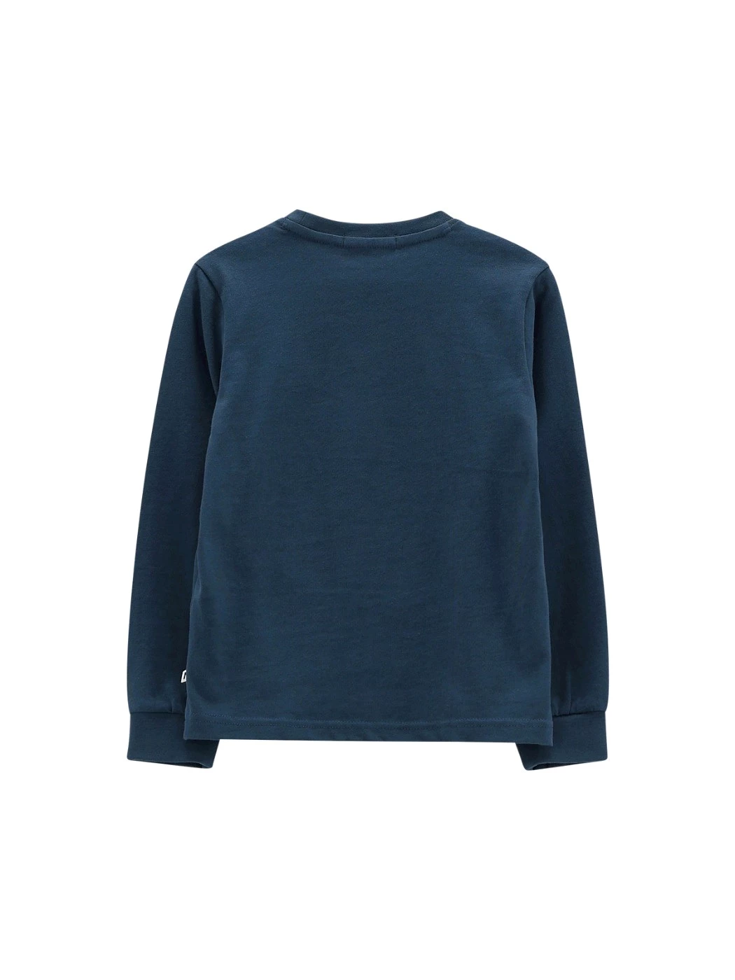 T-Shirt Manica Lunga Jersone Lavato Ragazzo 65C0324