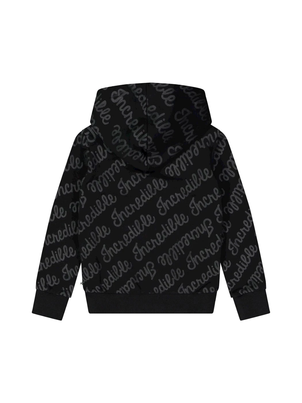 Felpa Zip Con Cappuccio Ragazza 73D0745