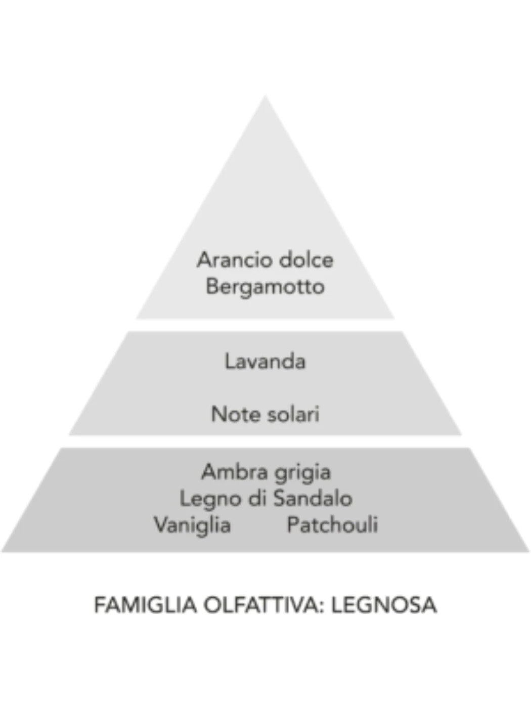 Profumatore Concentrato per il Bucato 200ML L'Essenza