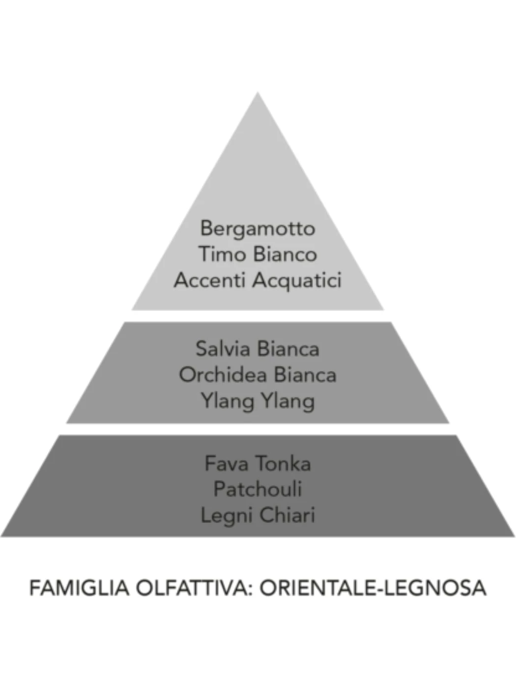 Ricarica Diffusore Auto Fortunato REF.FOR