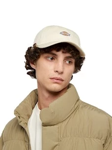 Cappello Dickies DK0A4TKVF901 HARDWICK WHITECAP GRAY