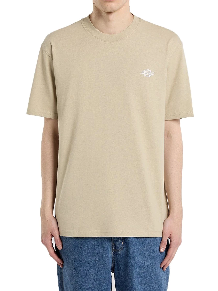 T-Shirt Dickies DK0A4YAIL441 SUMMERDALE SS TEE EUCALY