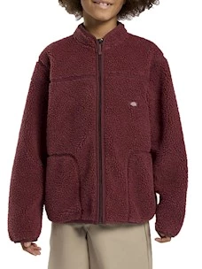 Giacca Dickies DK0A4Z3TL161   MOUNT HOPE FLEECE K ANDORRA