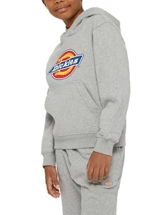 Felpa Dickies DK0KWR270H21  YOUTH LOGO HOODIE HEATHER GRAY