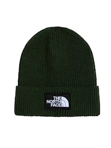 Cappello The North Face NF0A8CHENLW1 TNF LOGO BOX CUFFED