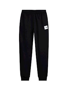 Pantalone The North Face NF0A8JB0JK31 M EVO BOX HD REG PNT