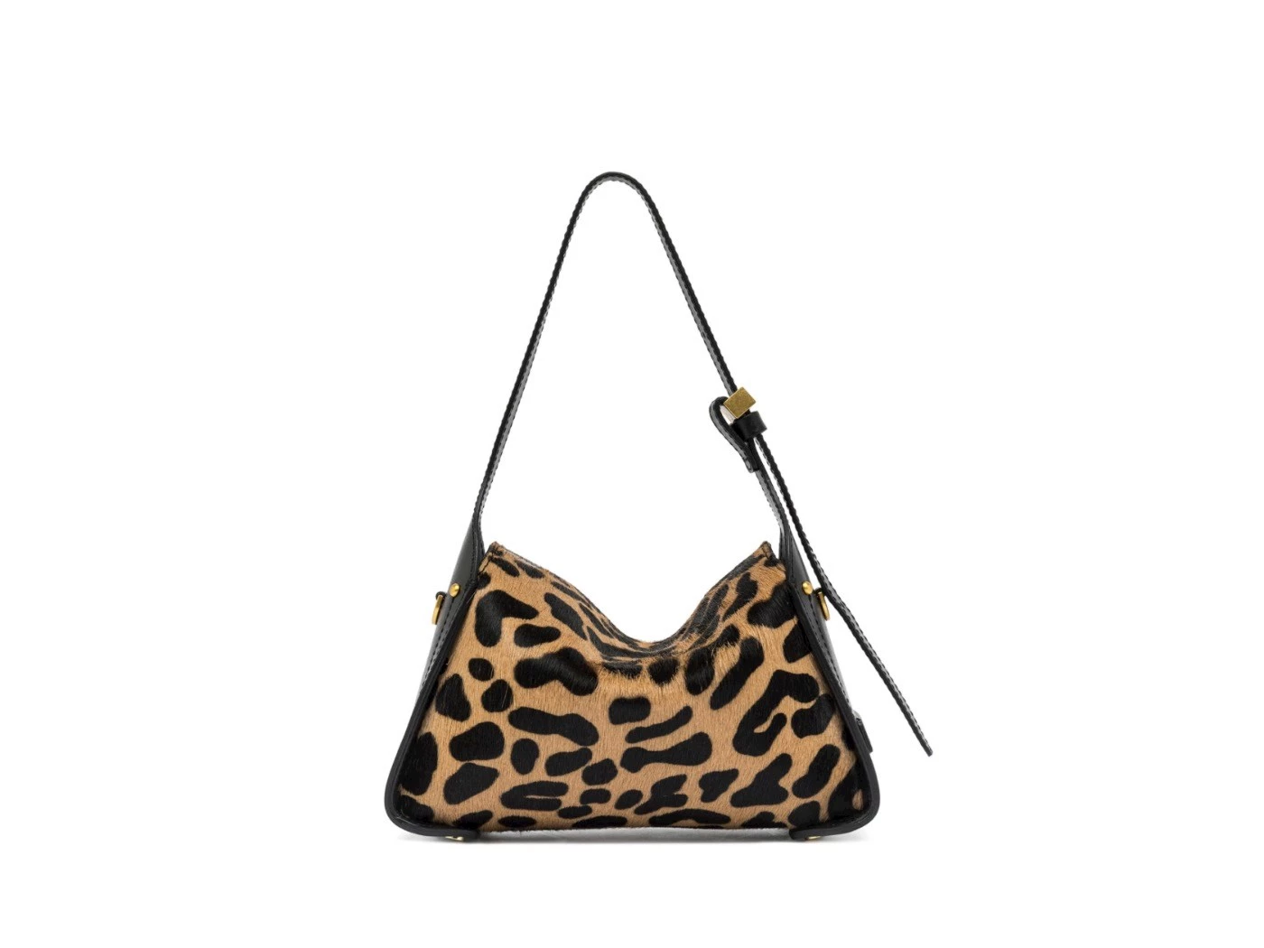 GIANNI CHIARINI PENELOPE CAV-PRK LEO-NERO