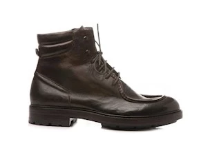 PAWELK'S DARK BROWN AMPHIBIAN