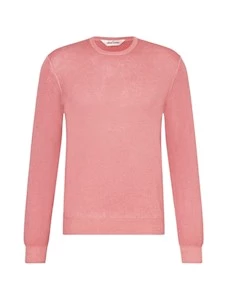 Rosa 223