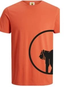 T-shirt Ciesse Piumini Rupert Flash 205CPMT01430