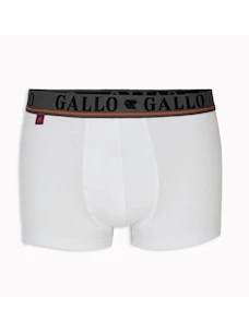 Boxer basico Gallo