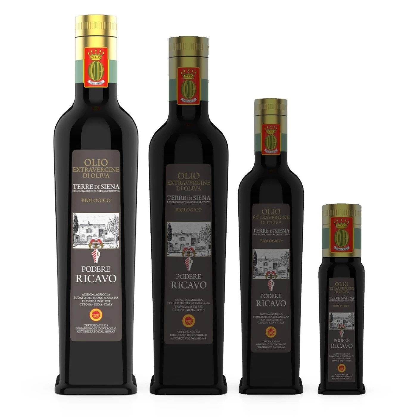 BOTTIGLIA E.V.O. BIO DOP TERRE DI SIENA DA LT. 0,75