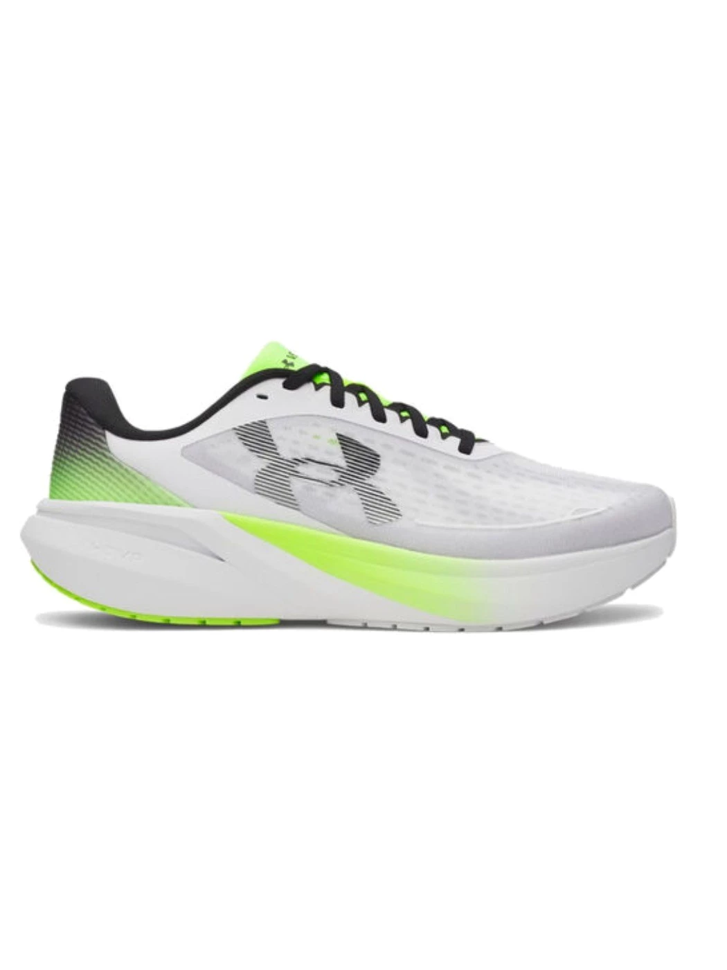 SCARPA RUNNING UNDER ARMOUR VELOCITI PACE
