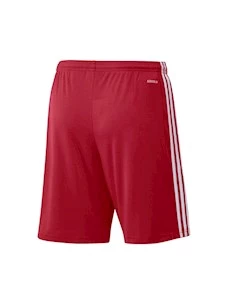 PANTALONCINI BAMBINO ADIDAS SQUAD 21 SHORT Y