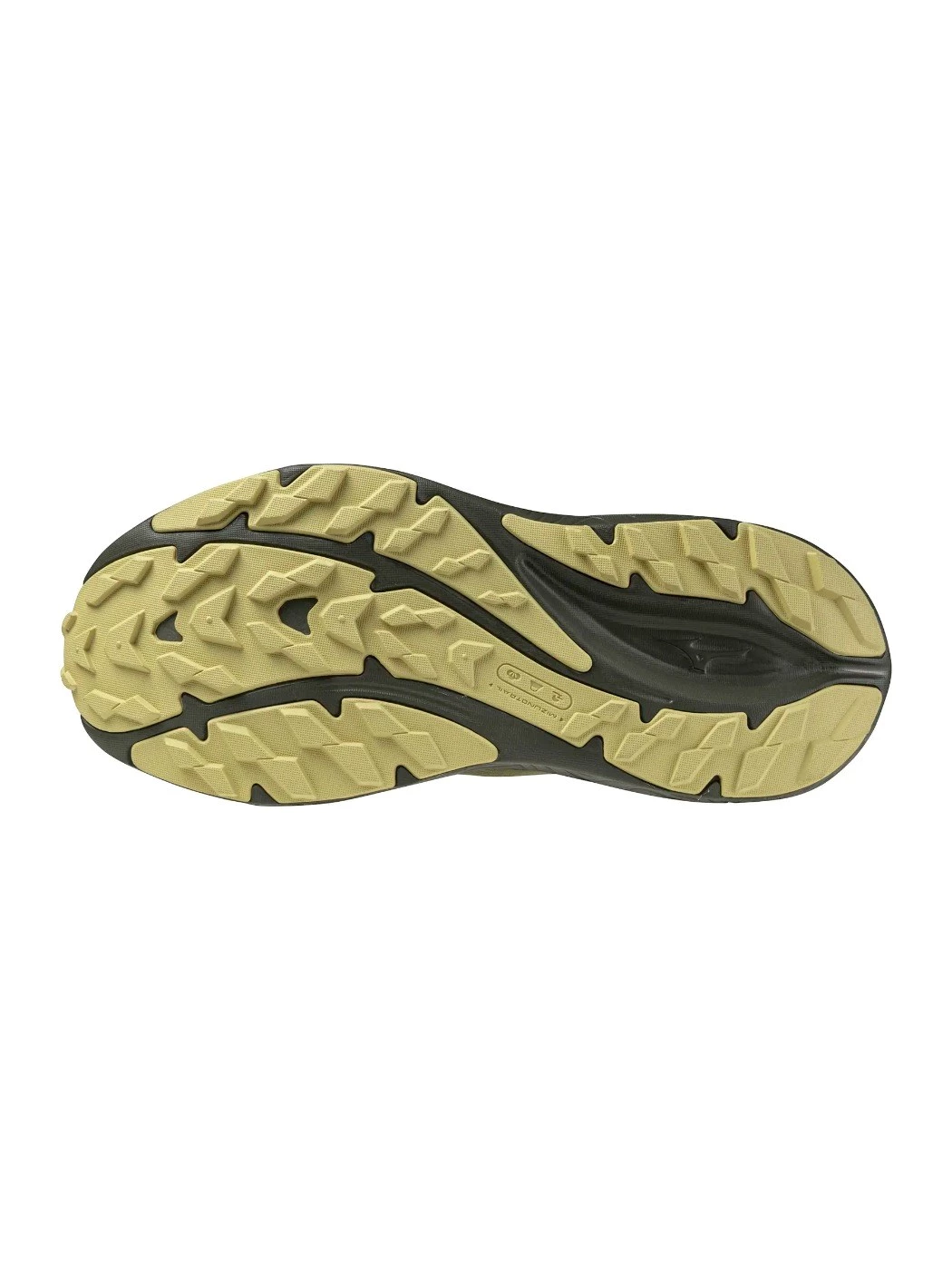 SCARPA TRAIL RUNNING DONNA MIZUNO NEO LUMINA GTX