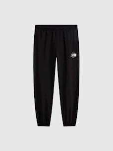 PANTALONI THE NORTH FACE SIBLI REG PANT